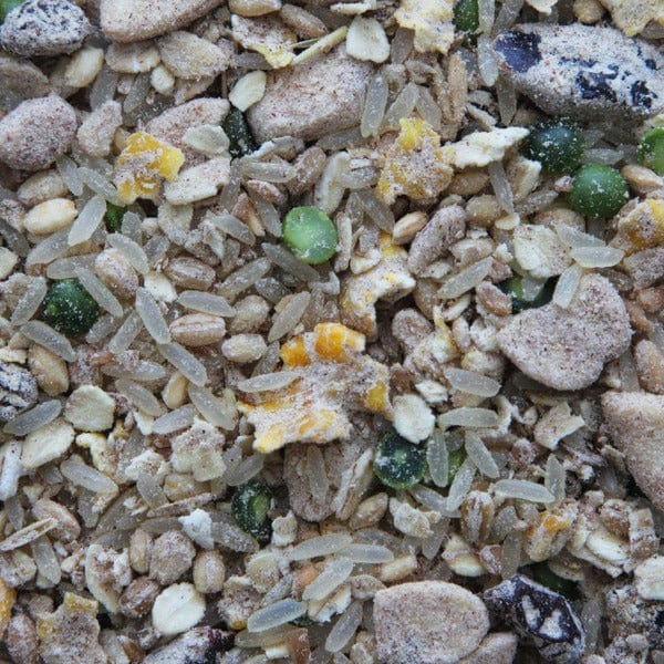 Higgins Worldly Cuisines Creamy Zen Bird Food Appetizer - Premium Organic Bird Treat for Parrots & Cockatiels - Perfect for Training & Bonding with Your Pet Bird