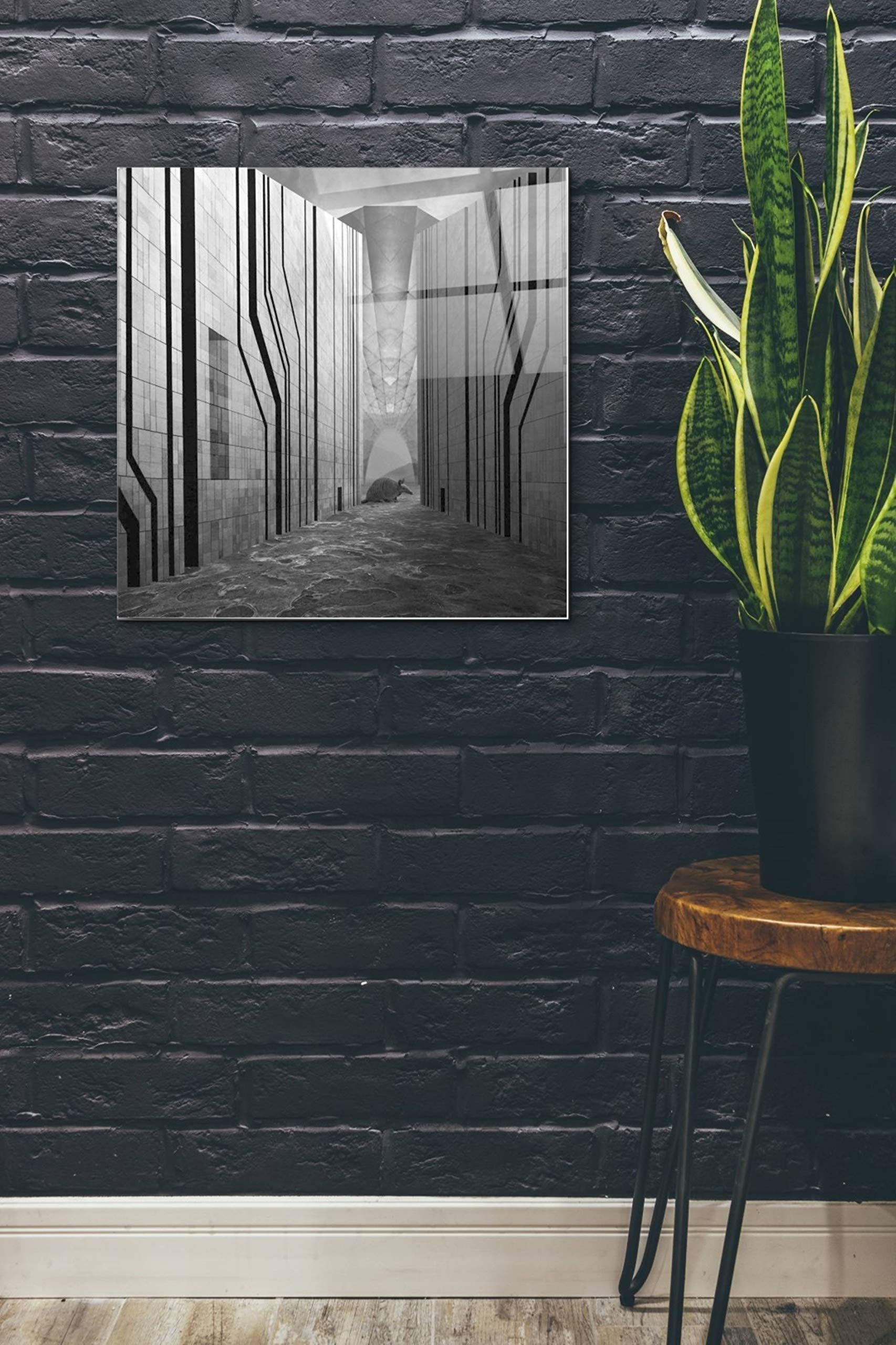 Epic 'Armadillo' Animal Wall Art by Dariusz Klimczak - 24x24 Inch Modern Acrylic Glass Painting - Perfect for Living Room, Bedroom or Office Decor