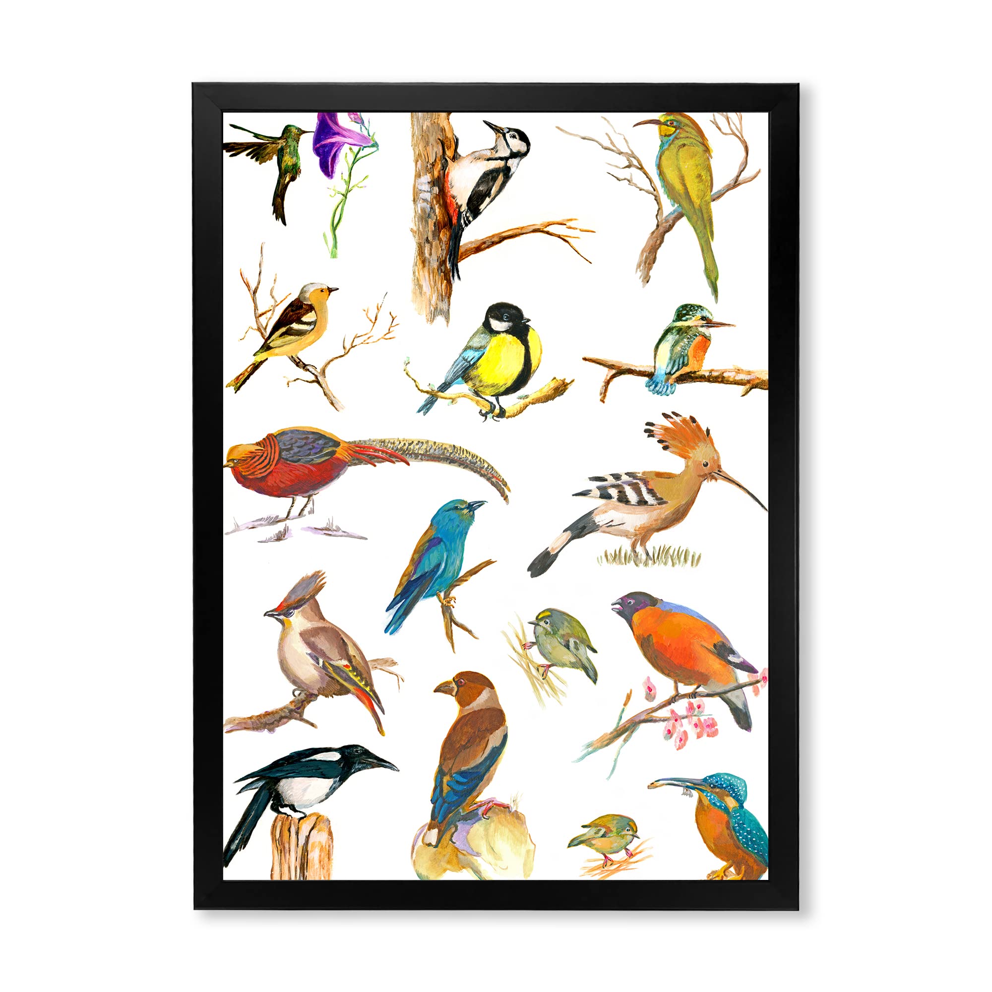 DesignQ Vibrant Colored Birds Plancard Traditional Framed Wall Art - Handmade Home Decor for Living Room, Bedroom & Office - Perfect Gift for Nature Lovers