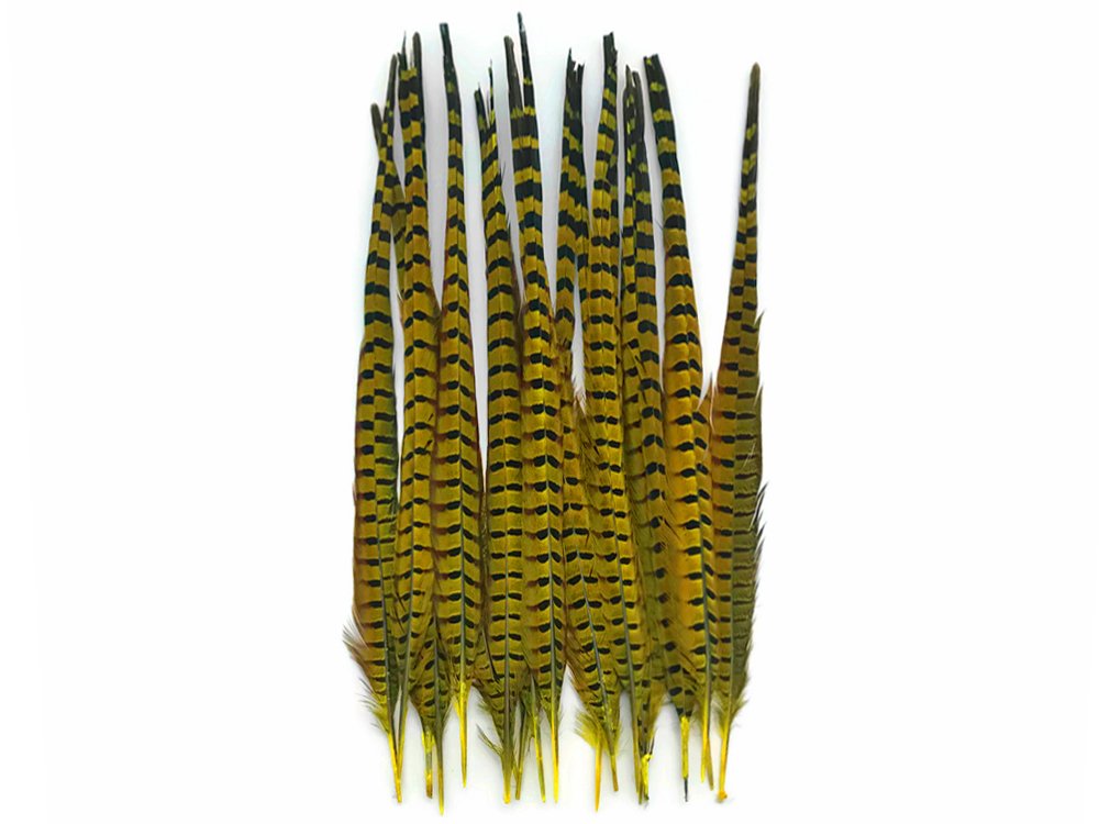 50 Pieces Natural Long Ringneck Pheasant Tail Feathers - Yellow Dyed Bulk Wholesale (18-22
