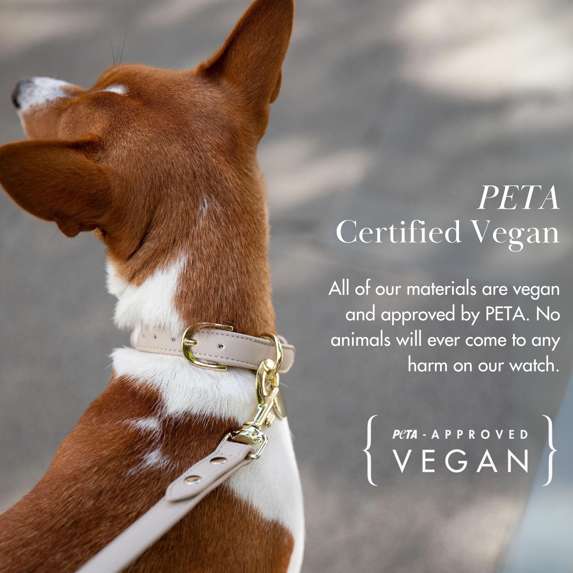 Vegan Soft Leather Dog Collar - Handmade Adjustable Padded Round Collar for Small, Medium & Large Dogs | Beige | Comfortable & Durable Pet Accessory for Daily Walks, Training & Outdoor Adventures