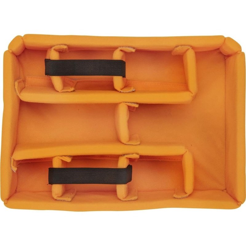 Pelican Vault V200 Waterproof Hard Case with Padded Dividers - Durable Protective Storage for Cameras, Electronics & Equipment - Ideal for Travel, Outdoor Adventures & Professional Use
