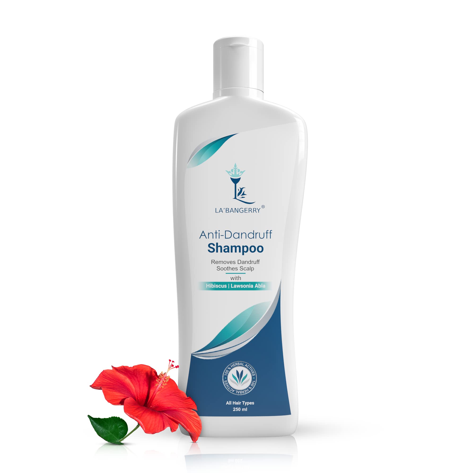 LA'BANGERRY Anti Dandruff Shampoo & Conditioner Set for Dry Scalp Treatment - Sulfate Free, Paraben Free with Hibiscus & Aloe Vera Extract - Dandruff Relief & Scalp Soothing for Men & Women (2 x 250ml) - Perfect for Daily Hair Care & Scalp Health Maintenance