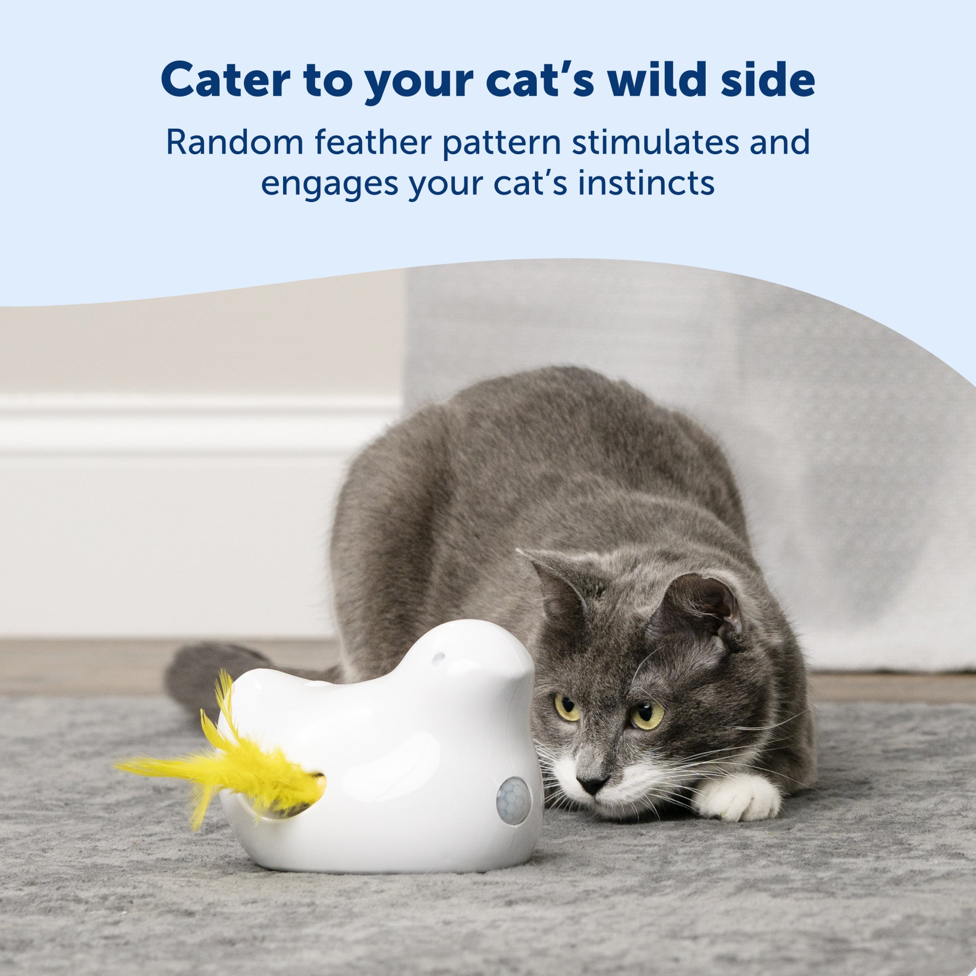Interactive Peek a Bird™ Electronic Cat Toy - Fun & Engaging PetSafe® Cat Teaser for Playtime & Exercise - Perfect for Indoor Cats & Boredom Relief
