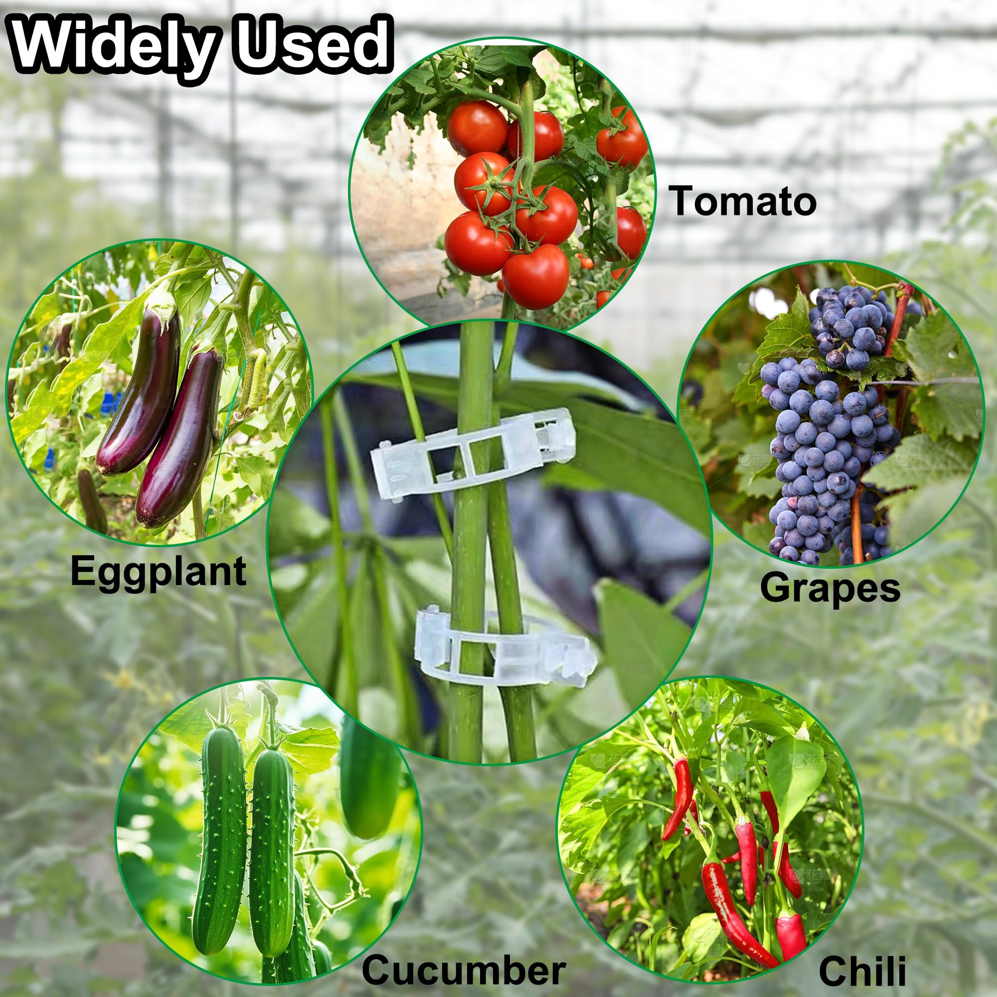 200 Pcs Clear Plastic Tomato Clips for String Trellis - Plant Support Clips for Climbing Plants, Tomato & Grape Vines - Ideal for Vertical Growth in Home Gardens & Greenhouses