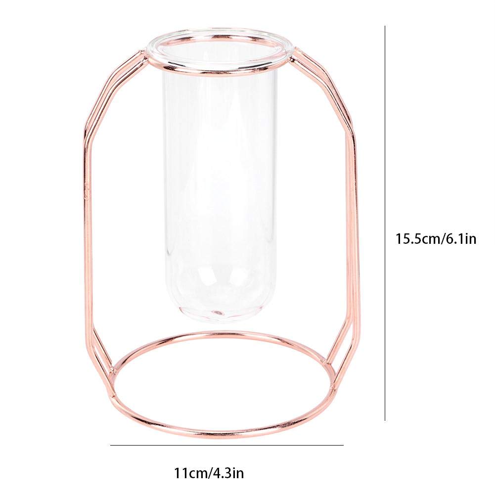 Valentine's Day Hydroponic Glass Flower Vase - Elegant Rose Gold Planter for Home, Wedding & Office Decor | Perfect for Indoor Plants, Table Centerpieces and Gift Giving