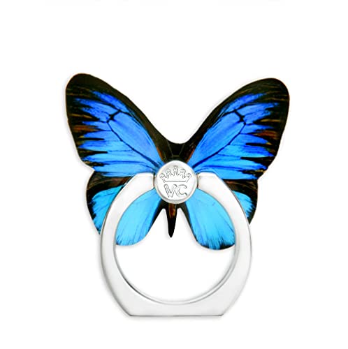 Blue Butterfly