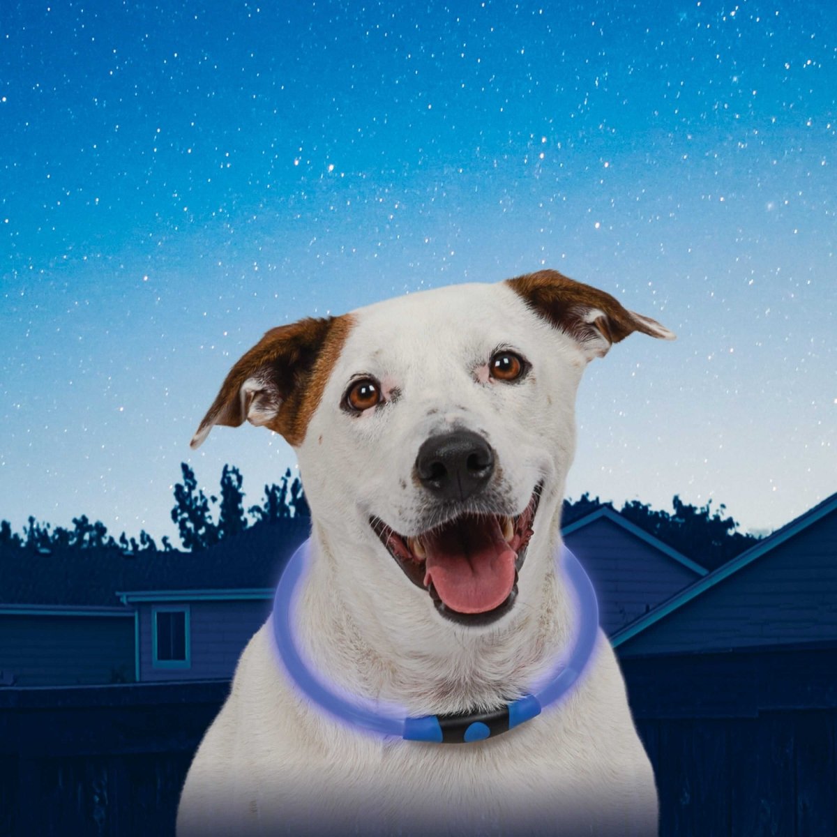 Nite Ize NITEHOWL LED Safety Necklace - High Visibility Reflective Dog Collar for Night Walking, Jogging, and Outdoor Adventures