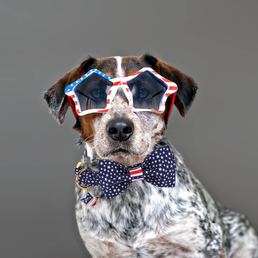DOGWONG Patriotic American Flag Dog Collar with Bowtie - Comfortable & Durable 4th of July, Memorial Day Dog Accessory for Small, Medium & Large Dogs - Perfect for Independence Day Celebrations & Patriotic Events