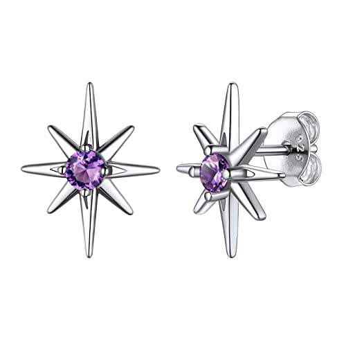 earrings-02. February(Created Amethyst)