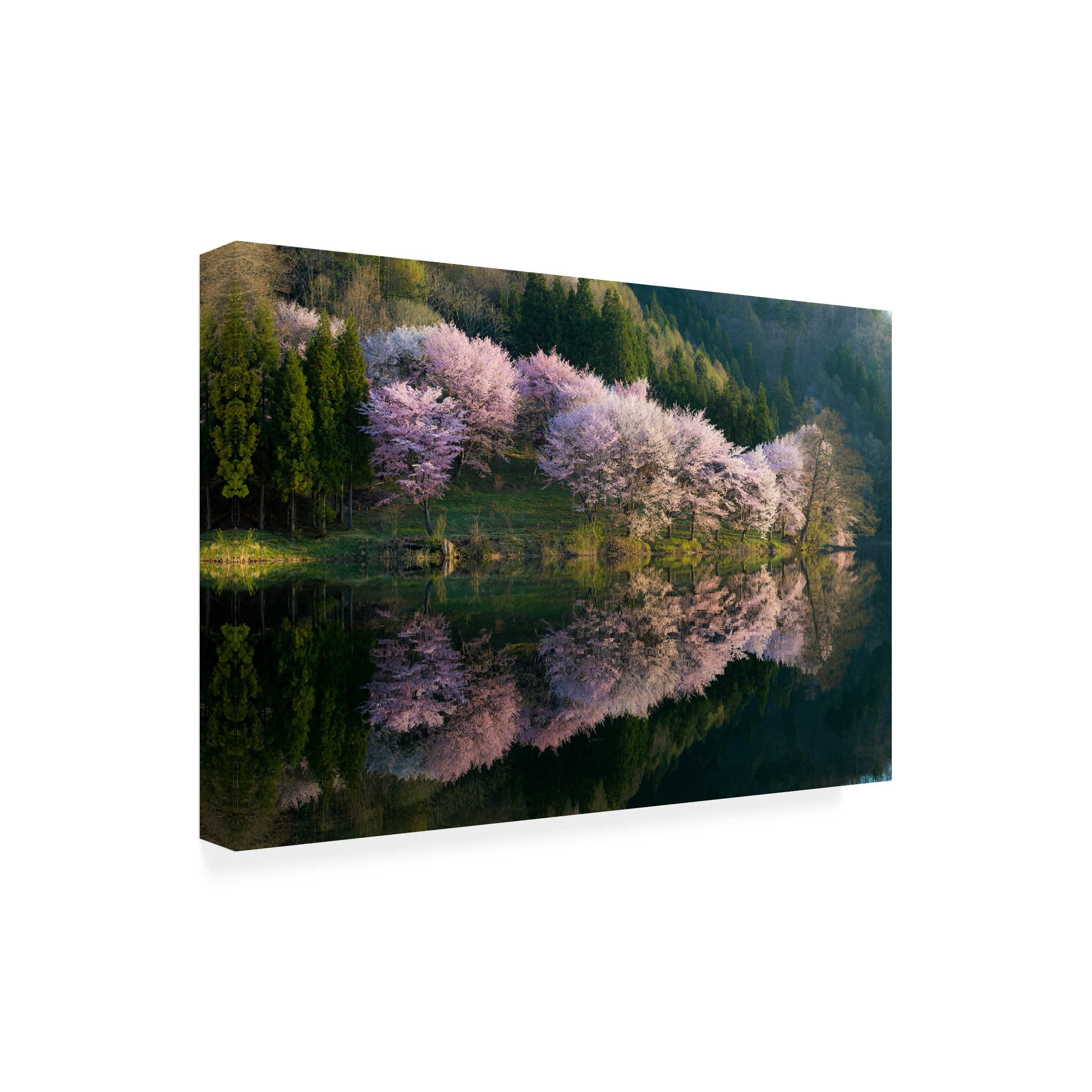 Trademark Fine Art 'Sakura' Canvas Print by Tatsuki Ito - Japanese Cherry Blossom Wall Decor for Living Room, Bedroom & Office