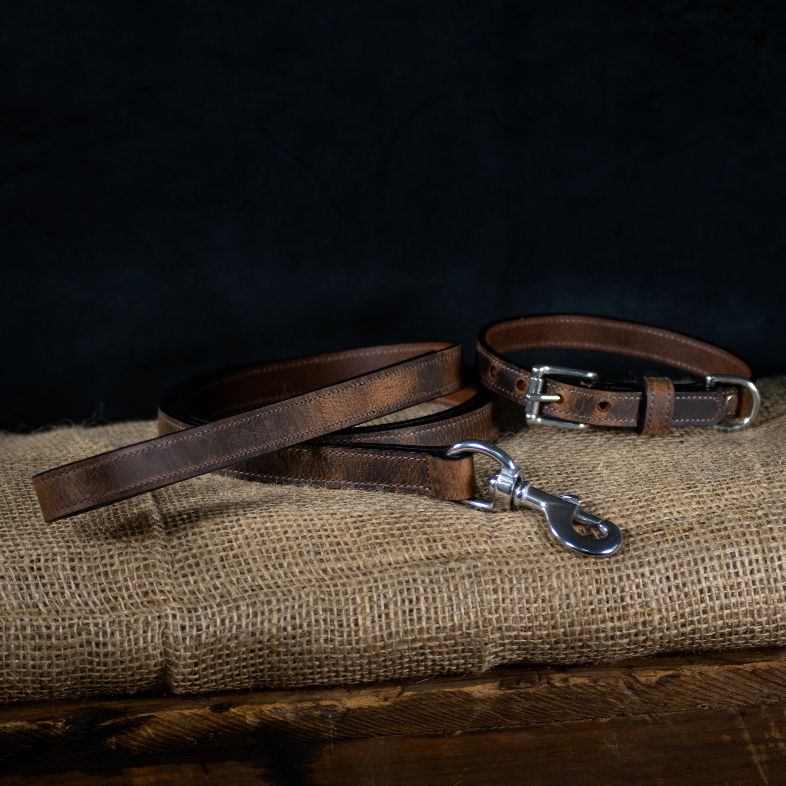 Premium Quality USA Made Dog Leash for Ollie - Durable & Comfortable for Walking, Training & Outdoor Adventures