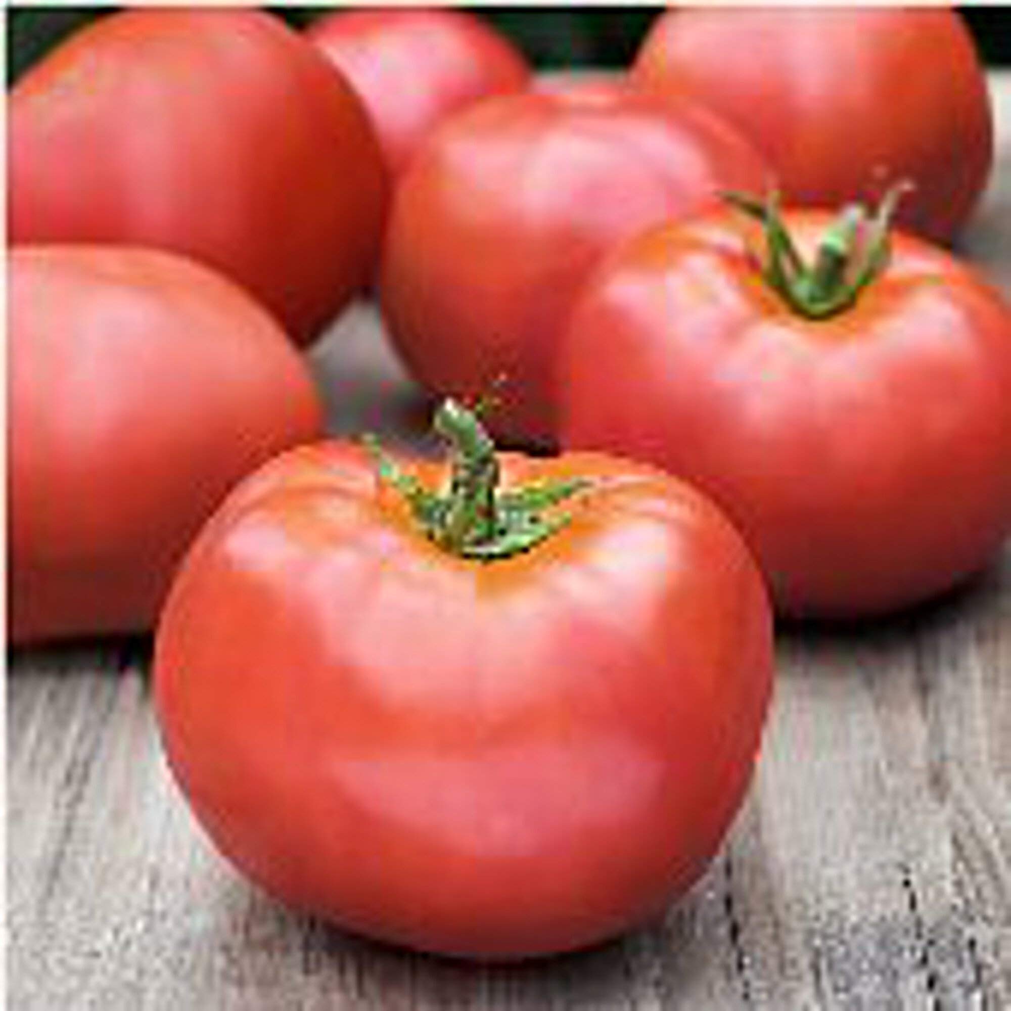 Atkinson Tomato Seeds (20+ Seeds) | Non-GMO Heirloom Vegetable Seeds for Planting | Home Garden, Greenhouse, or Container Growing | Fresh Salad & Cooking Use