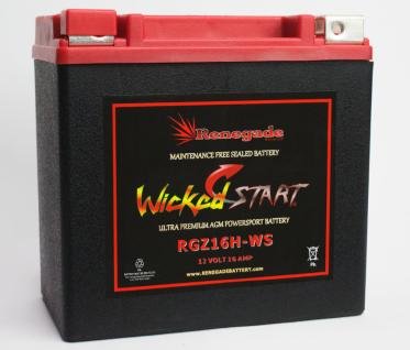 Pioneer 1000 Replacement Battery - RGZ16H-WS 350+ CCA Compatible with 2016-2024 SXS1000M3 & SXS1000M5 Models | High-Performance ATV/UTV Battery for Off-Road Adventures & Outdoor Power Needs