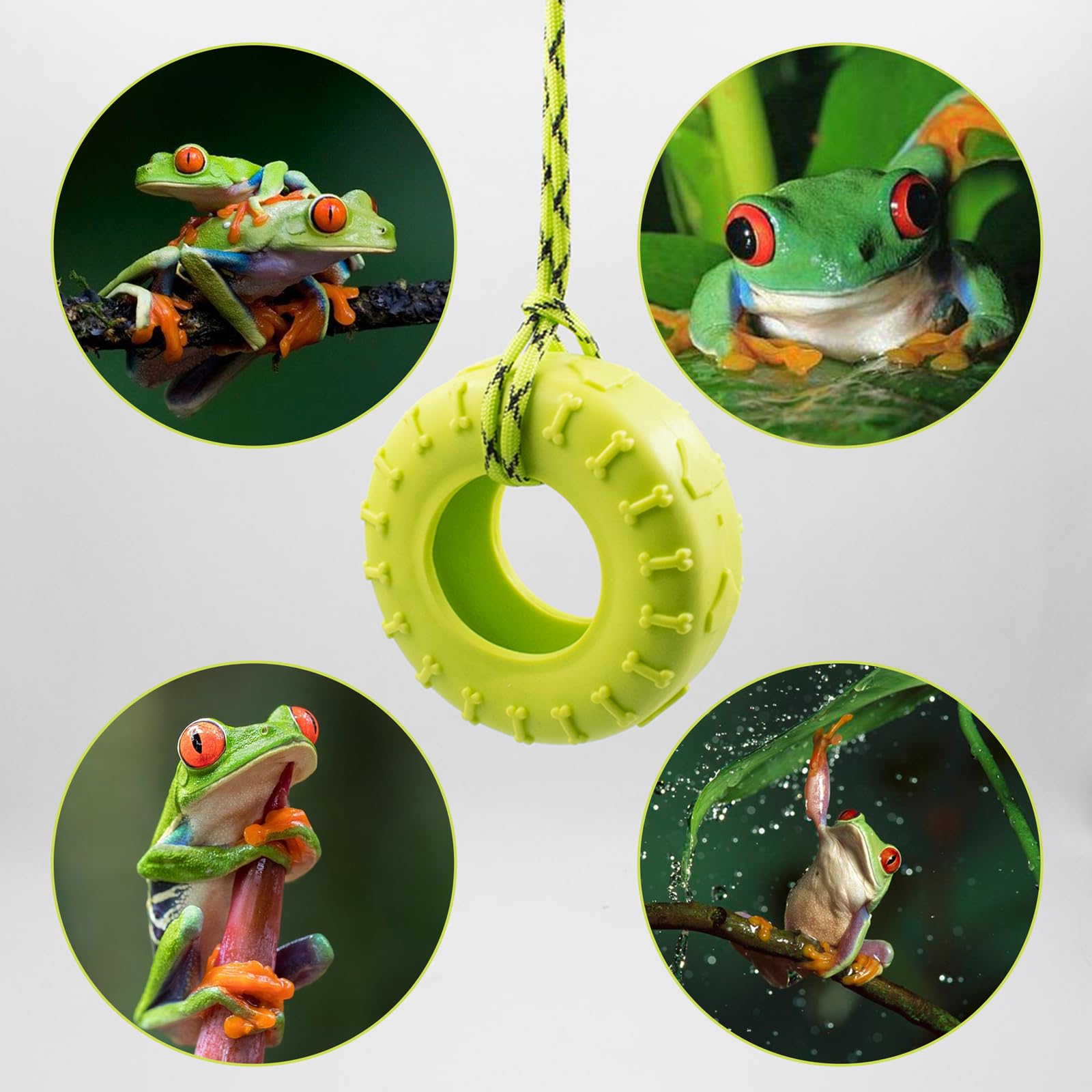 2 PCS Tree Frog Toy Tire Swing with Suction Cups - Miniature Habitat Accessories for Frog Tanks, Terrariums & Reptile Enclosures - Perfect for Climbing, Play & Decoration (Ideal for Frogs, Reptiles & Amphibians)