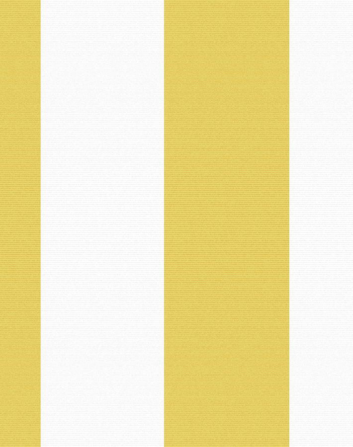 Wallshoppe 'Candy Stripe' Yellow Wallpaper - Peel and Stick Removable Wallpaper for Bedroom, Nursery & Home Decor