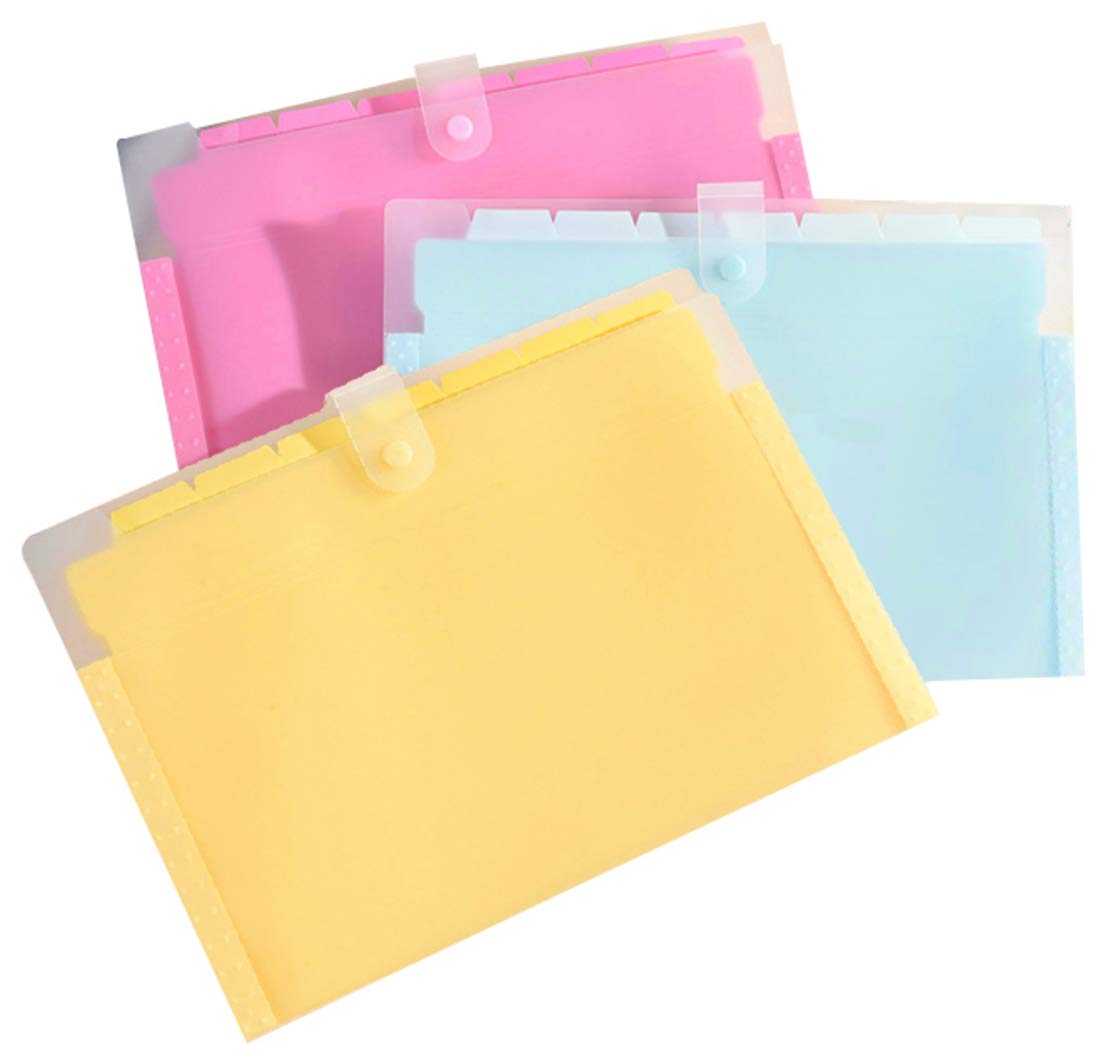 Expandable File Folder Organizer - 8-Pocket Accordion Plastic Document Holder for School, Home & Office - Clear Paper Filing System with Free Labels (Assorted Colors) | Perfect for Students, Travel & Office Organization