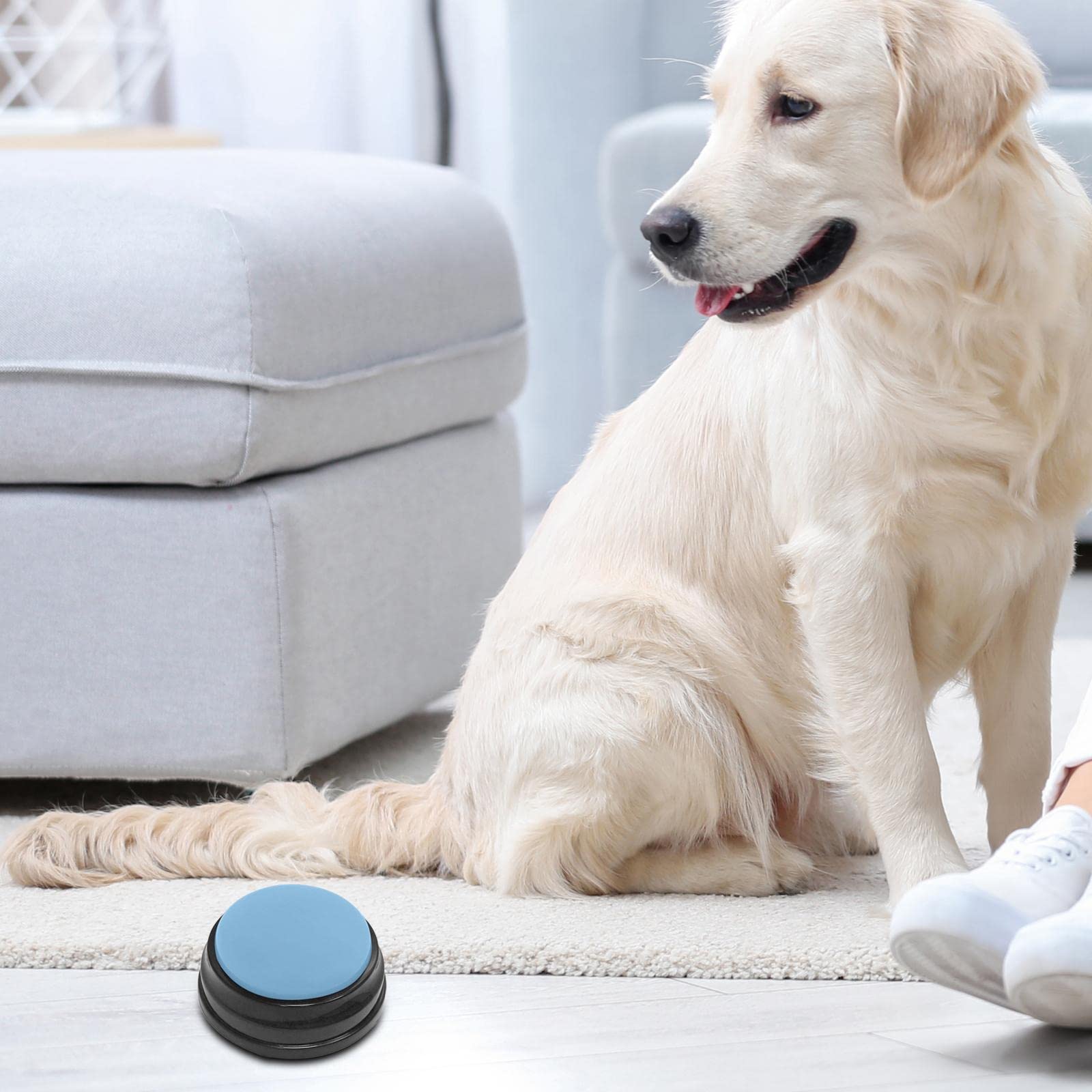 Fityle Dog Training Buttons - Recordable Sound Recorder for Pets & Puppies - Light Blue for Home Training