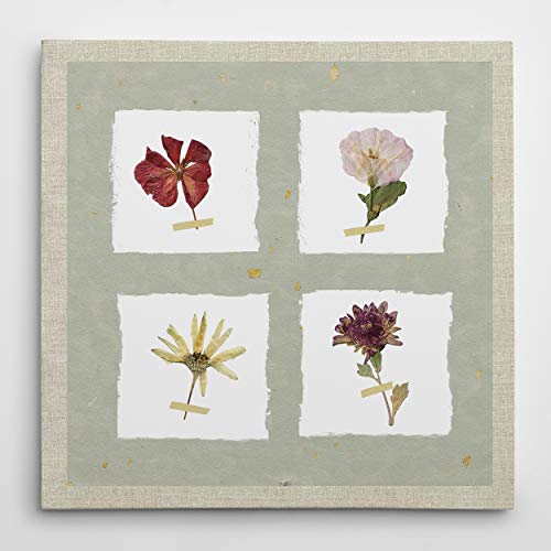 Pressed Blooms I