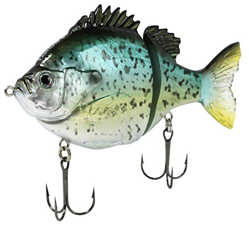 Black Crappie