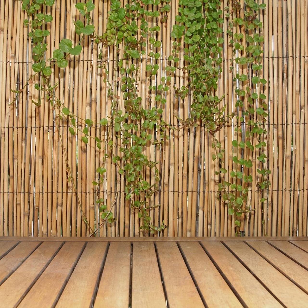 FOREVER BAMBOO Jumbo Reed Privacy Fence - 6ft Tall x 16ft Wide Natural Bamboo Screen for Backyard, Garden & Patio Divider - Tan Finish Outdoor Decorative Fencing for Poolside, Deck & Landscape Privacy