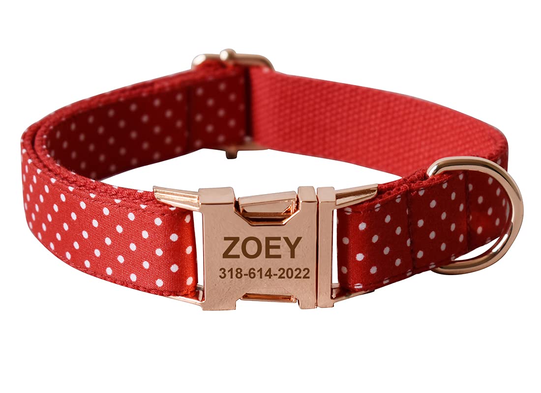 Personalized Dog Collar with Name & Phone - Small to Large Pets for Walking & Training