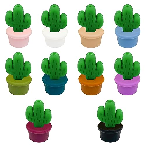 potted cactus
