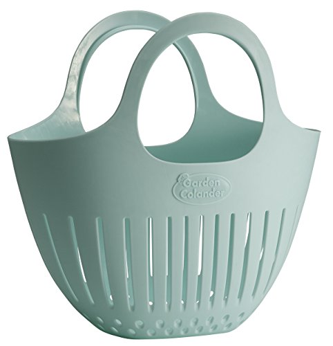 Eggshell Blue