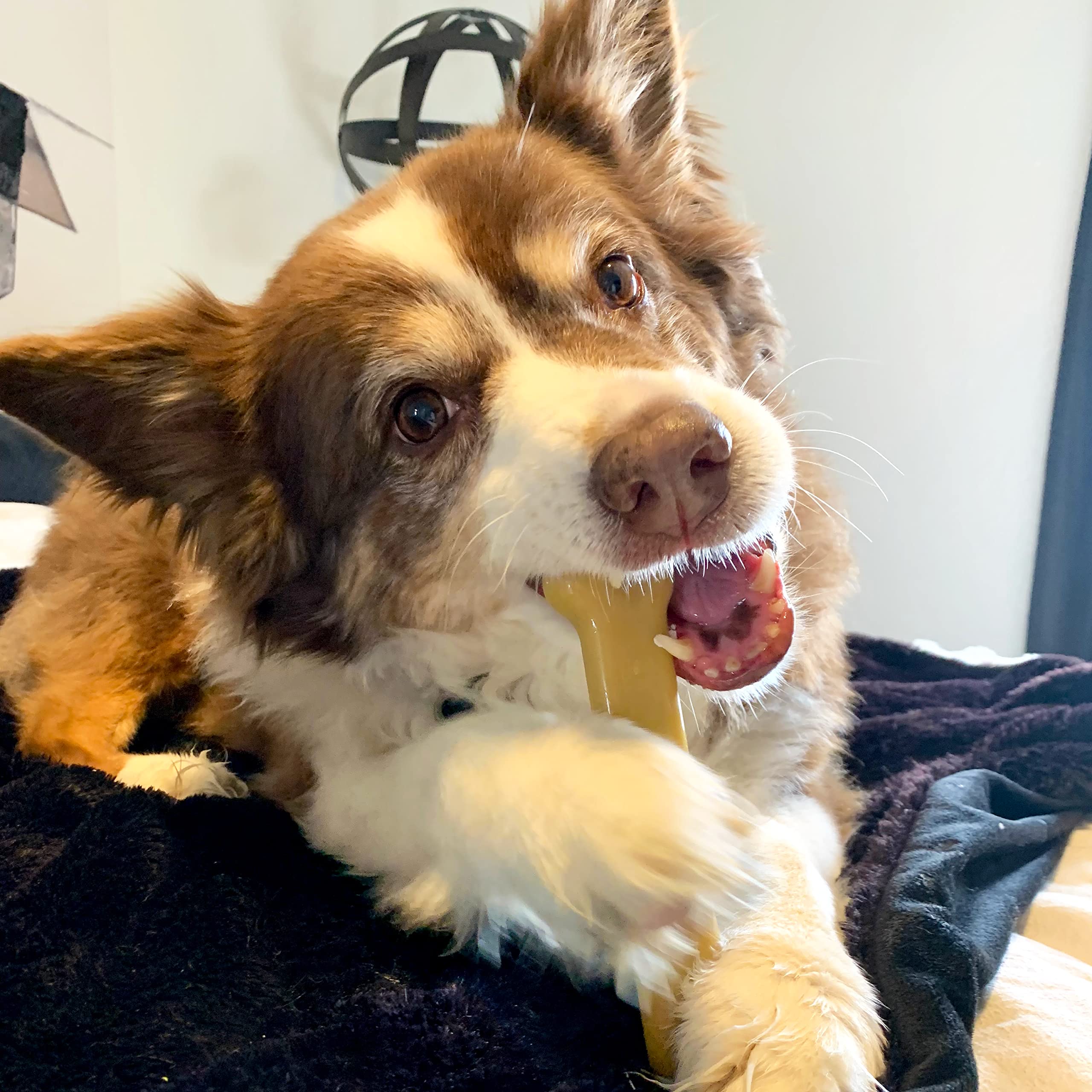 Sporn Marrow Dog Chew Bones for Aggressive Chewers - Peanut Butter Flavor, Gluten-Free & Non-Toxic Extra Large Dog Chew Toys - Perfect for XL Dogs, Long-Lasting Dental Health & Stress Relief - Great for Crate Training, Teething Puppies & Boredom Busters