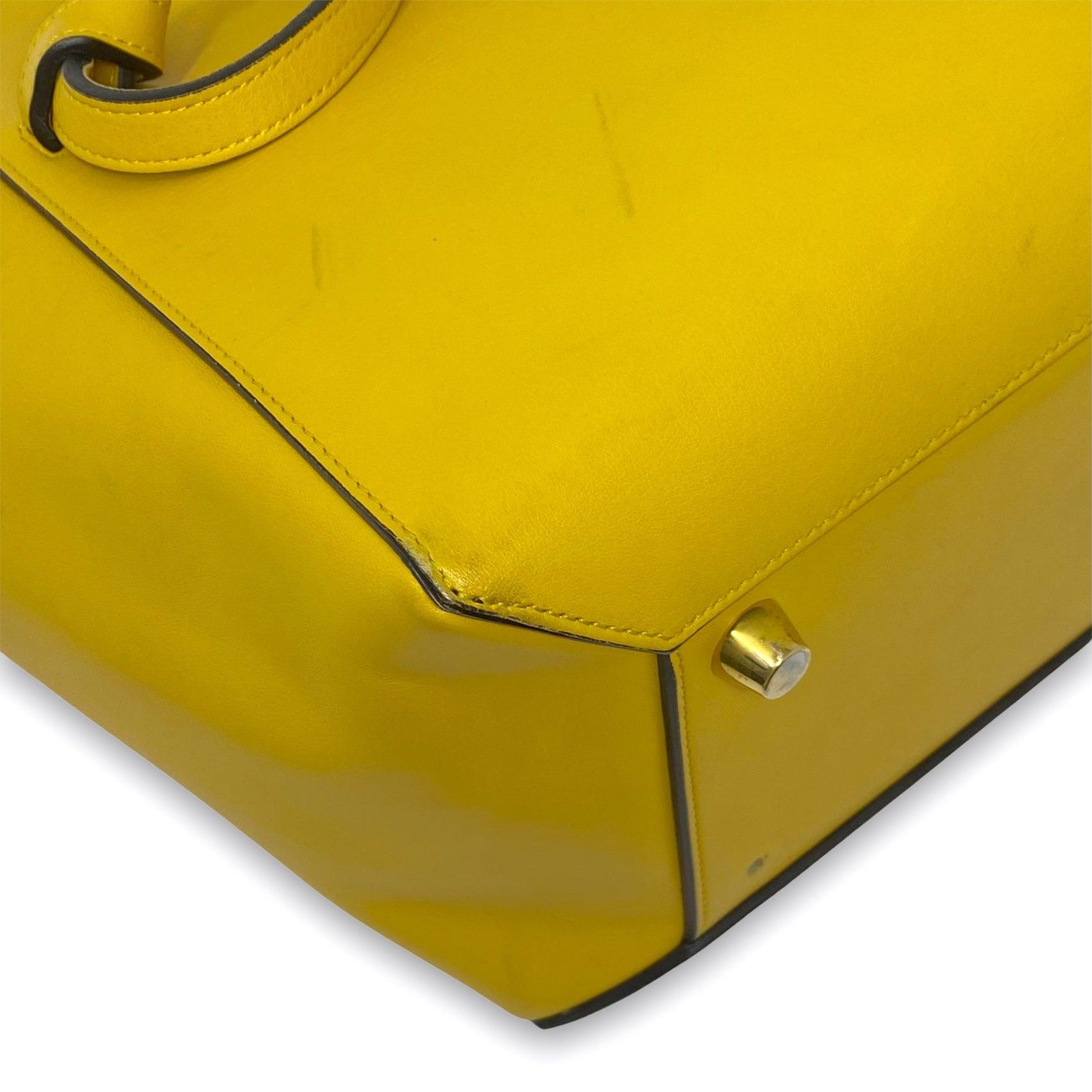 Celine Mini Belt Bag in Yellow | Crossbody Handbag for Women | Perfect for Everyday Use, Travel & Casual Outings