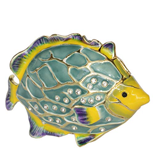 Colorful Fish