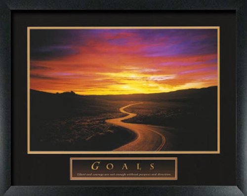 2 Pack Framed Motivational Posters - Dolphin Path Inspirational Wall Art for Office & Home Decor - Perfect for Living Room, Bedroom, or Kitchen Wall Decor