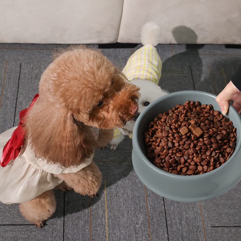 Sweejar Ceramic Small Dog Bowl with Paw Print Design - 9.5oz Slow Feeder Pet Food Dish & Water Bowl for Puppies - Durable Porcelain Pet Bowl for Mealtime (Brown) - Perfect for Small Breed Dogs, Slow Eating Training, and Home Feeding Stations