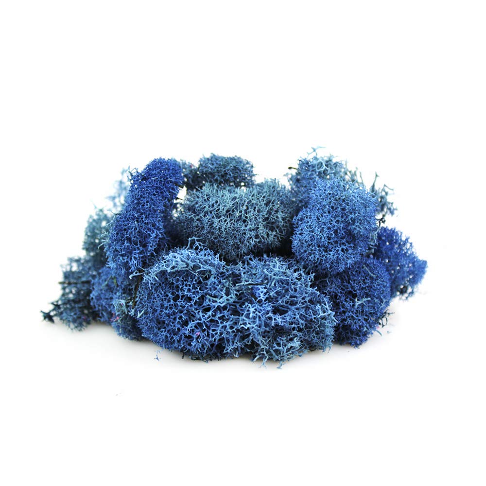 10 LB Bulk Preserved Reindeer Moss - Natural Decorative Moss for Potted Plants, Terrariums, Fairy Gardens, DIY Crafts & Floral Arrangements | Indoor & Outdoor Use (Blue) - Perfect for Home Decor, Wedding Centerpieces & Landscape Design