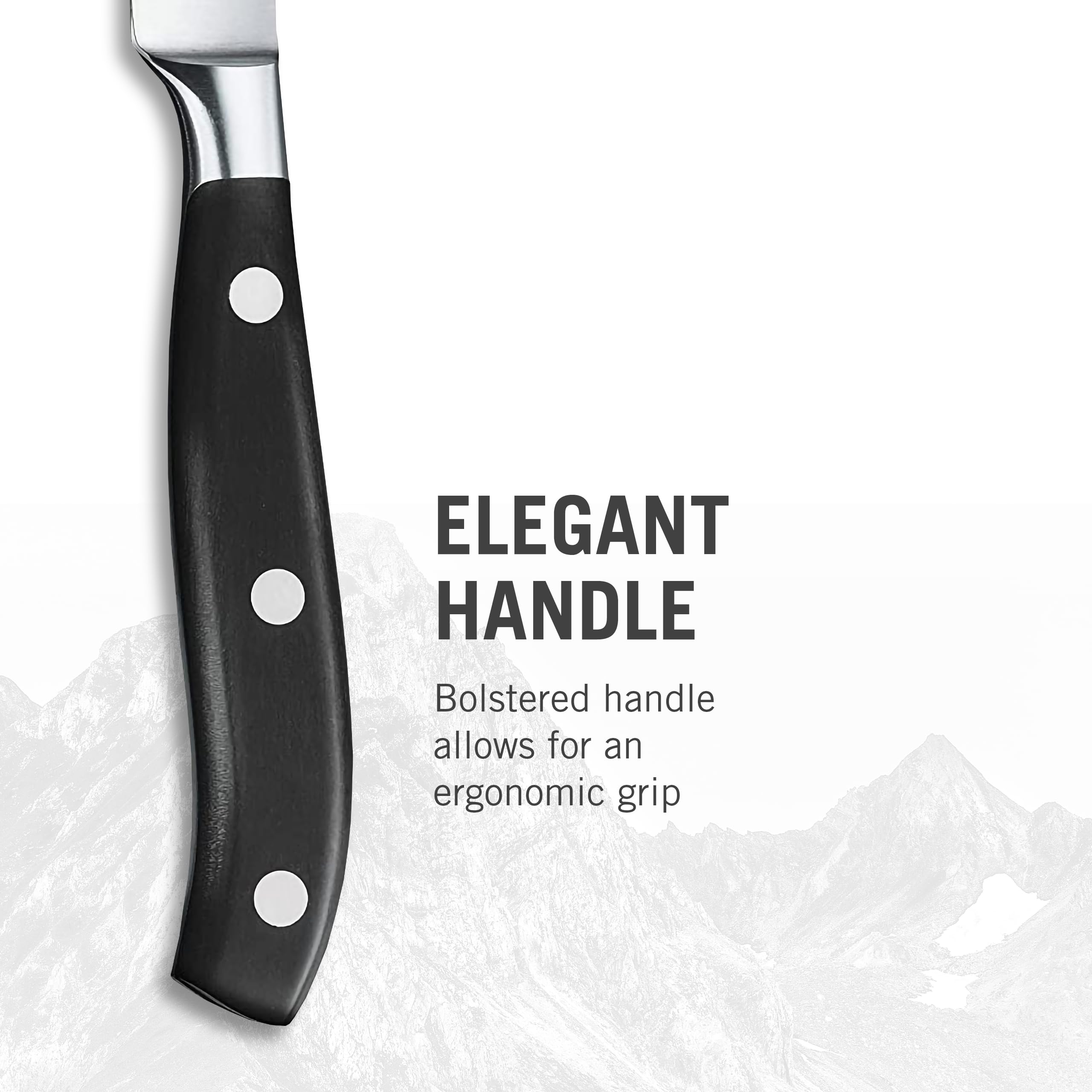 Victorinox Grand Metre Forged Knife - High-Quality Stainless Steel Kitchen Knife for Professional Chefs & Home Cooking - Perfect for Slicing, Dicing, and Chopping Vegetables, Meat, and Fruits