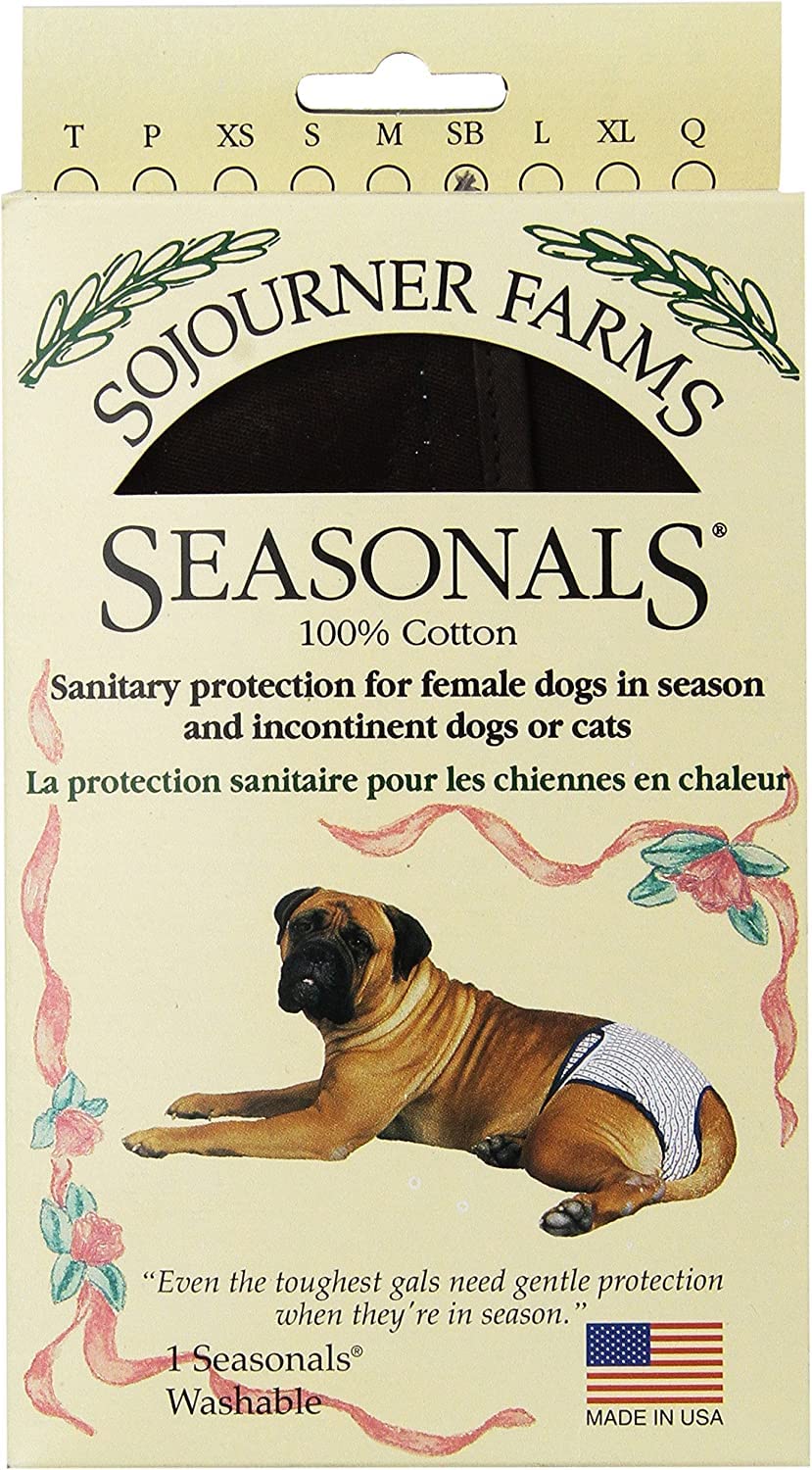 Washable Dog Diaper for Small Dogs - Adjustable & Reusable Pet Diapers for Squatty Body Breeds - Brown - Perfect for House Training, Incontinence & Travel Use