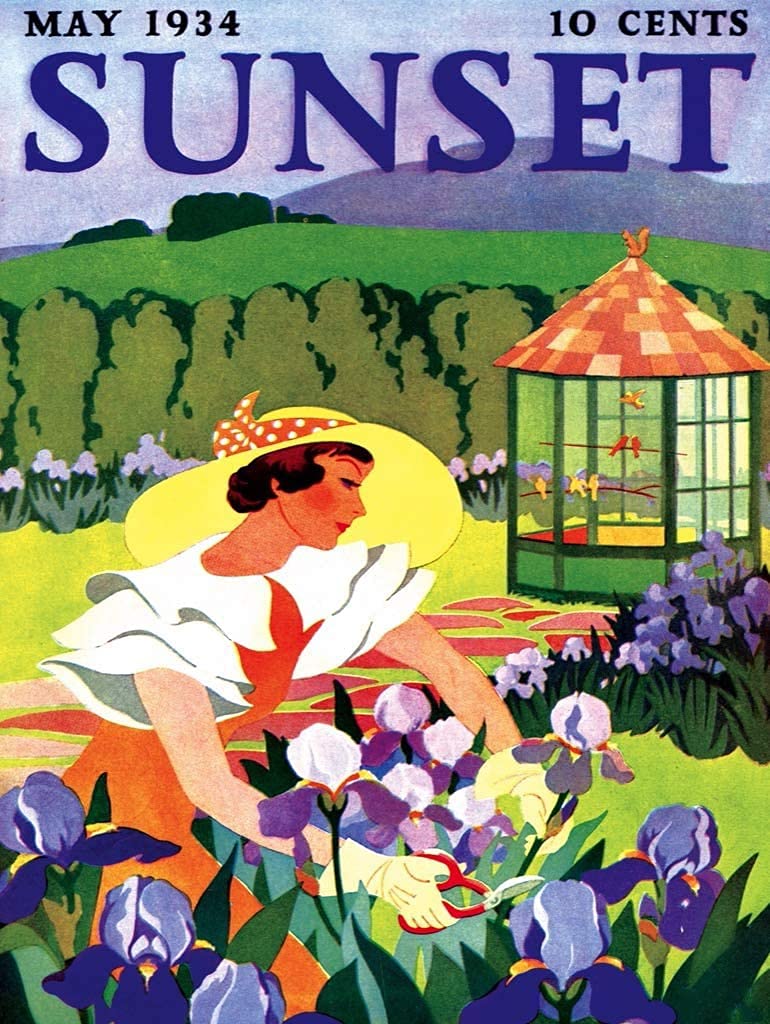 Ufcell 500-Piece Sunset Iris Jigsaw Puzzle - Fun Educational Game for Adults & Kids | Perfect Birthday & Wedding Gift for Home Decor
