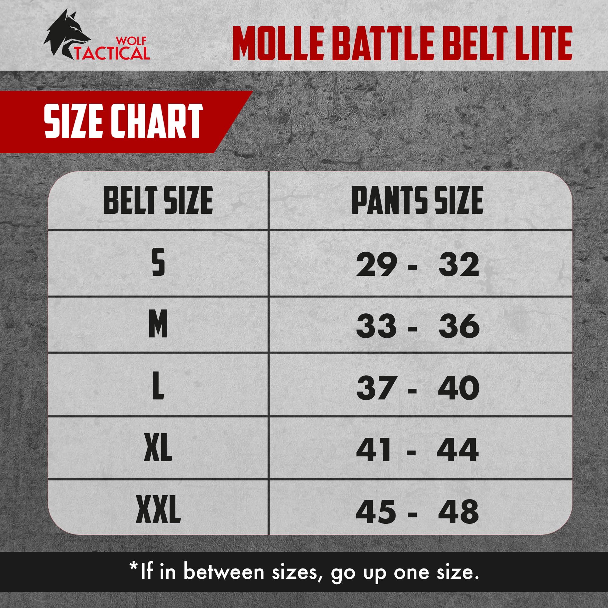 WOLF TACTICAL Molle Battle Belt Lite - 1.75