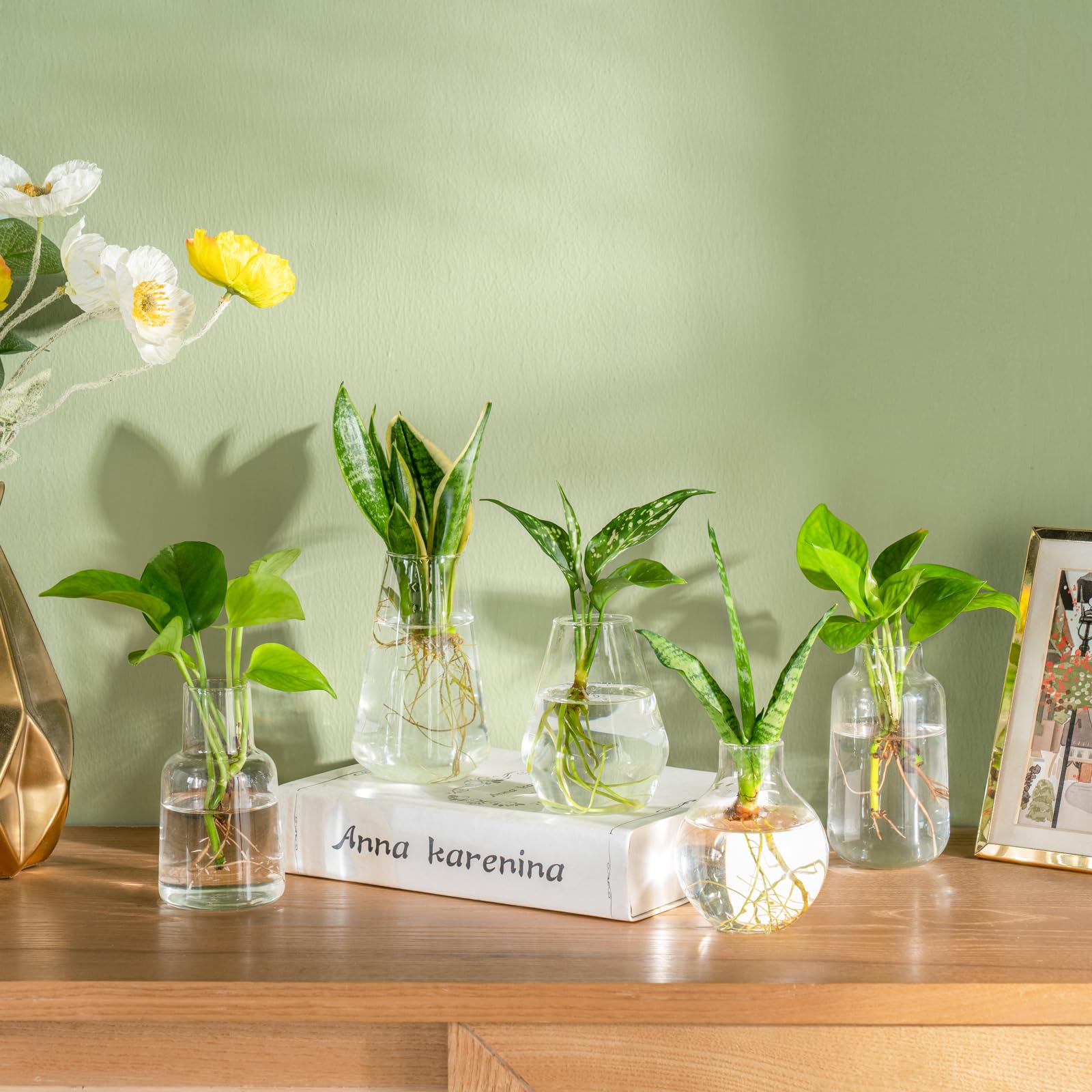 Mkono Glass Propagation Vases for Plants - Set of 5 Small Hydroponic Planters for Flower Cuttings, Bud Vases for Home Office Decor, Wedding Centerpieces & Gifts - Perfect for Indoor Gardening, Herb Propagation, and Tabletop Displays