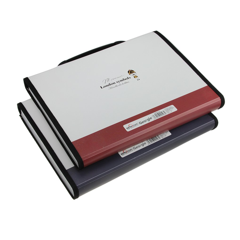 A4 Size 13-Compartment Plastic File Organizer - Expandable Document Holder with Flap Cover, London Style Office Bag - Perfect for Home, Office & School Organization
