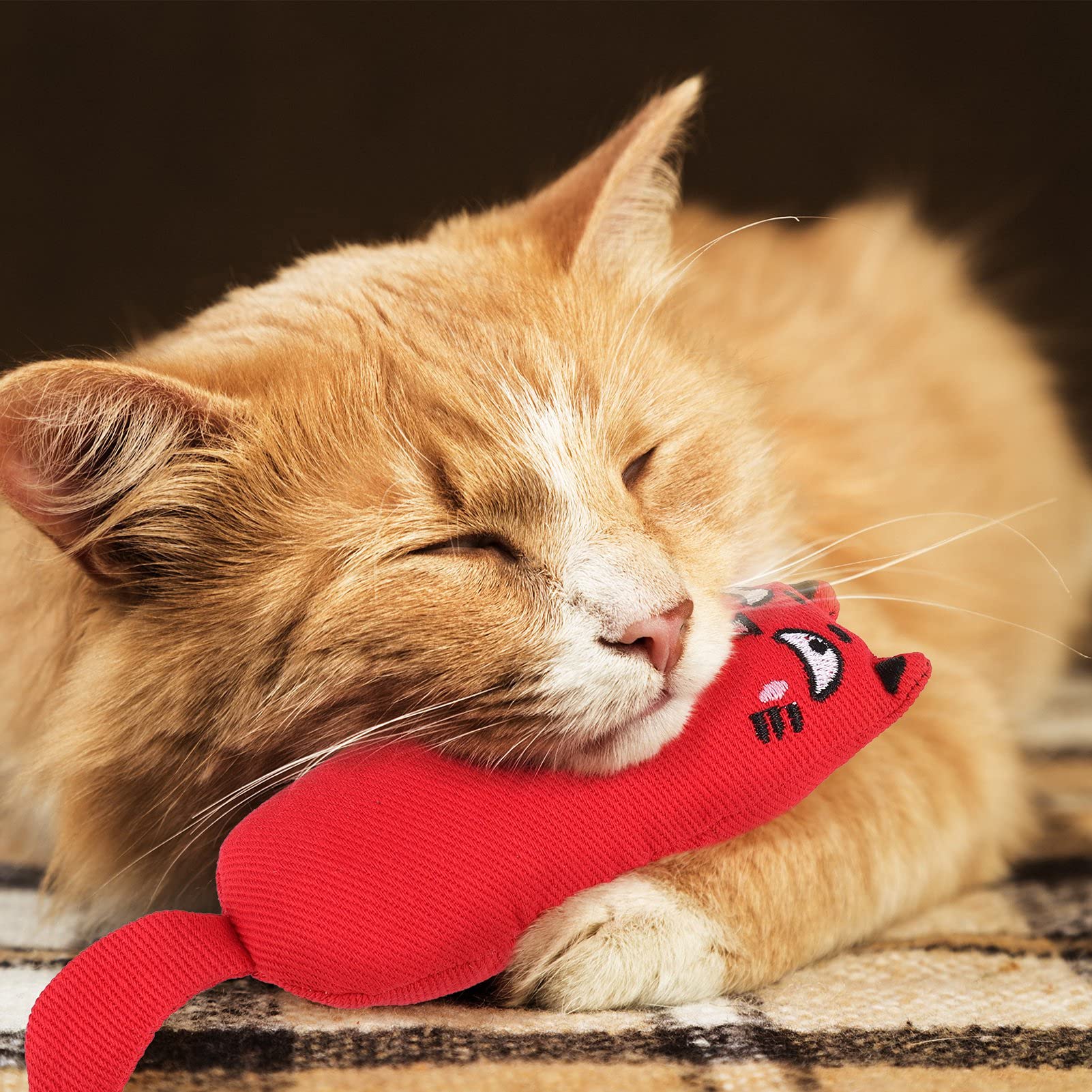 ADAKEL 5-Piece Catnip Toys for Kittens - Natural Cat Chew Toys for Dental Care & Playtime - Interactive Cat Toys for Indoor Cats, Stress Relief & Teething Kittens (Perfect for Playtime, Training & Bonding)