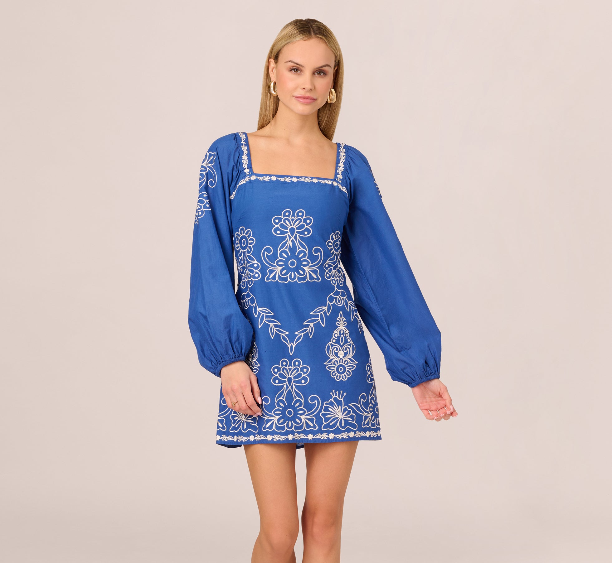 Blue and White Embroidered Long Sleeve Cotton Mini Dress - Perfect for Casual Outings, Date Nights, and Spring/Summer Fashion