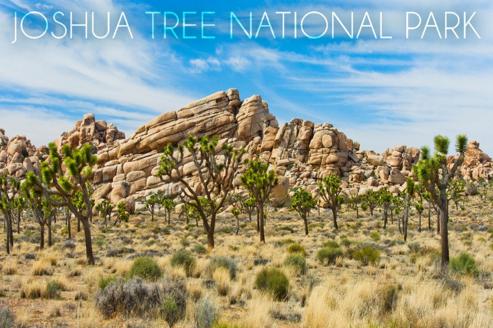 Joshua Tree National Park California Wall Art - 36x54 Giclee Print, Desert Landscape Travel Poster with Blue Sky & Rock Formations - Perfect for Home Office Decor & Nature Lovers Gift