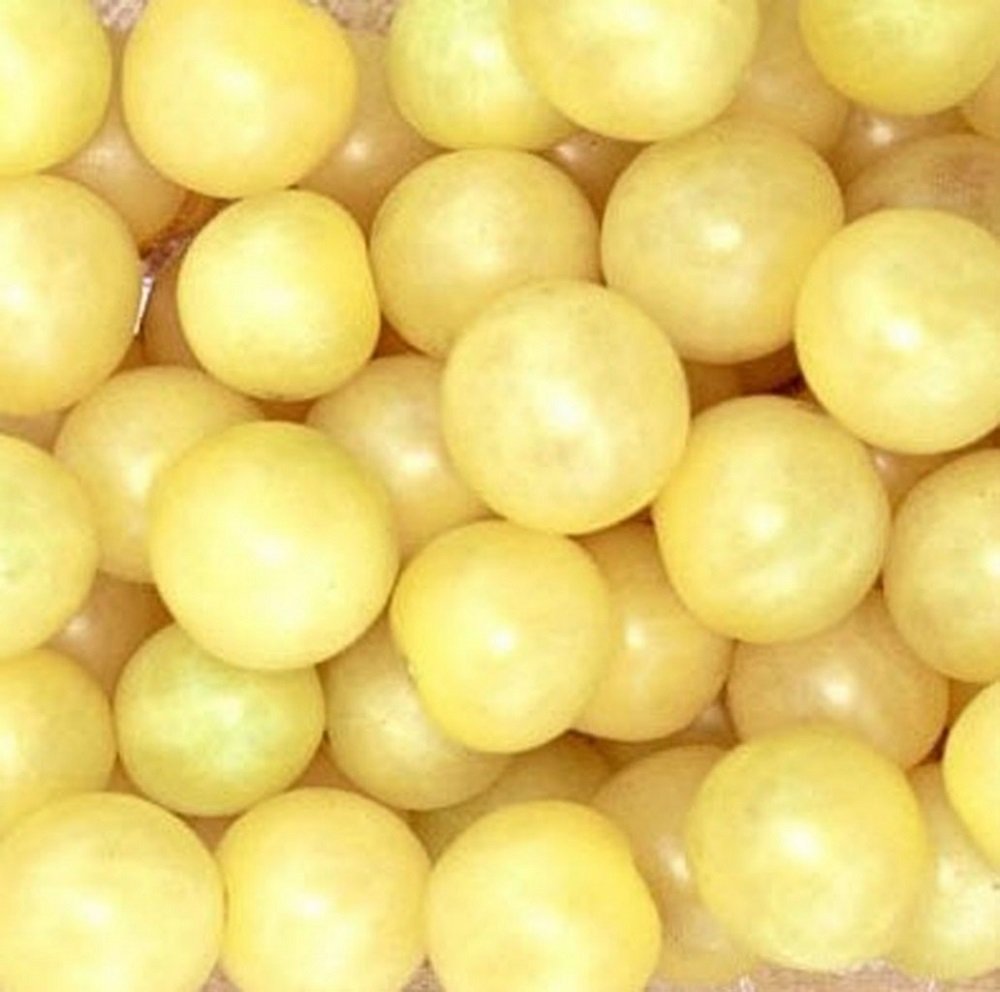 Snow White Cherry Tomato Plant - Super Sweet Heirloom Variety - 4