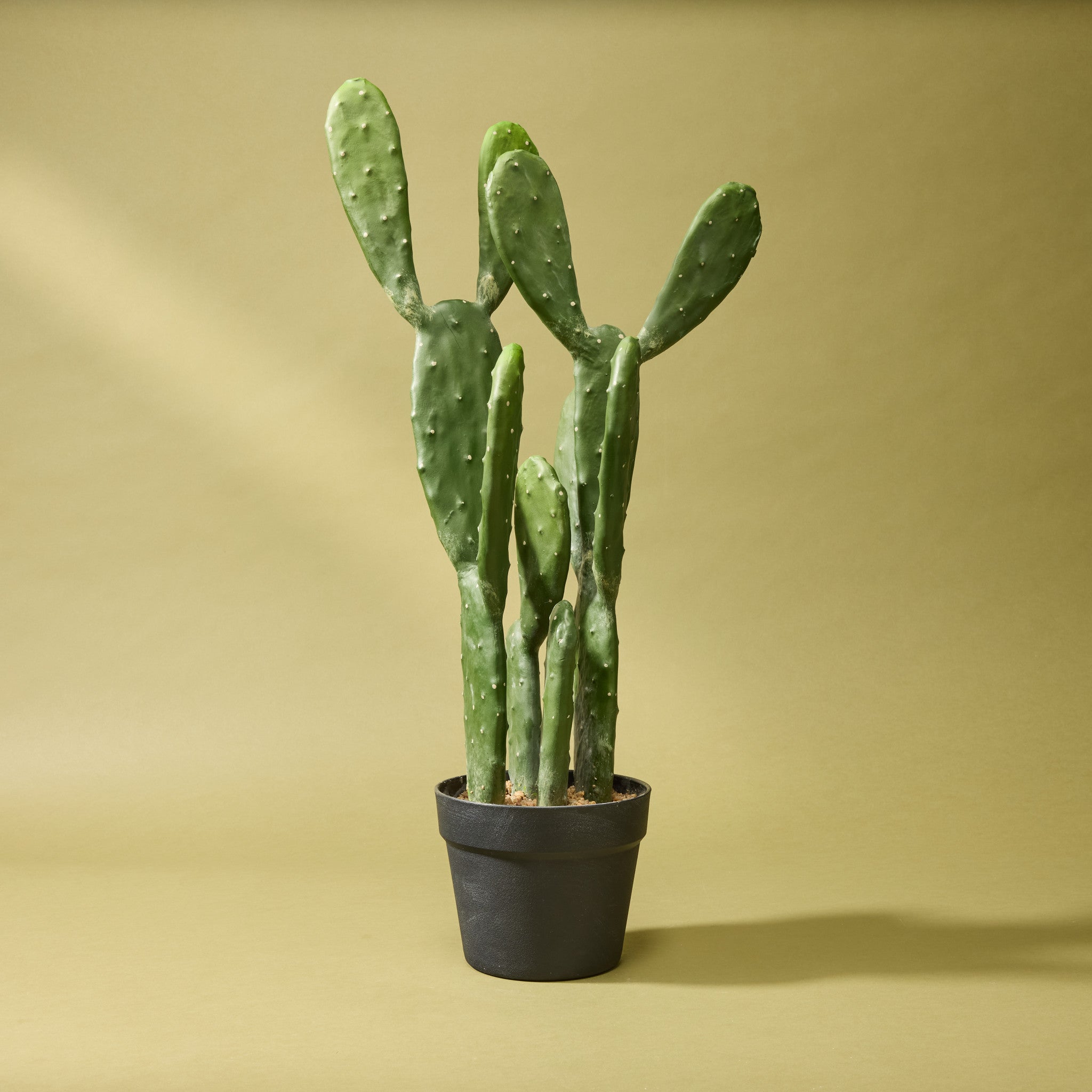 Artificial Pear Cactus in Decorative Garden Pot - 25 Inches Tall for Indoor & Outdoor Home Decor | Perfect for Living Room, Office, or Patio Decorations