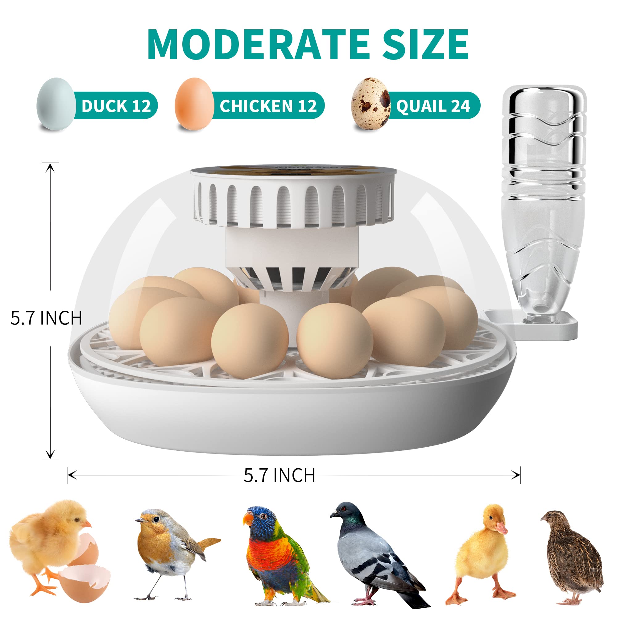 Lreerge 12 Egg Incubator - Automatic Egg Turner & Water Feeder, 360° Clear View for Hatching Chicken, Goose, Quail, Duck Eggs - Perfect for Home Poultry Farming & Classroom Science Projects