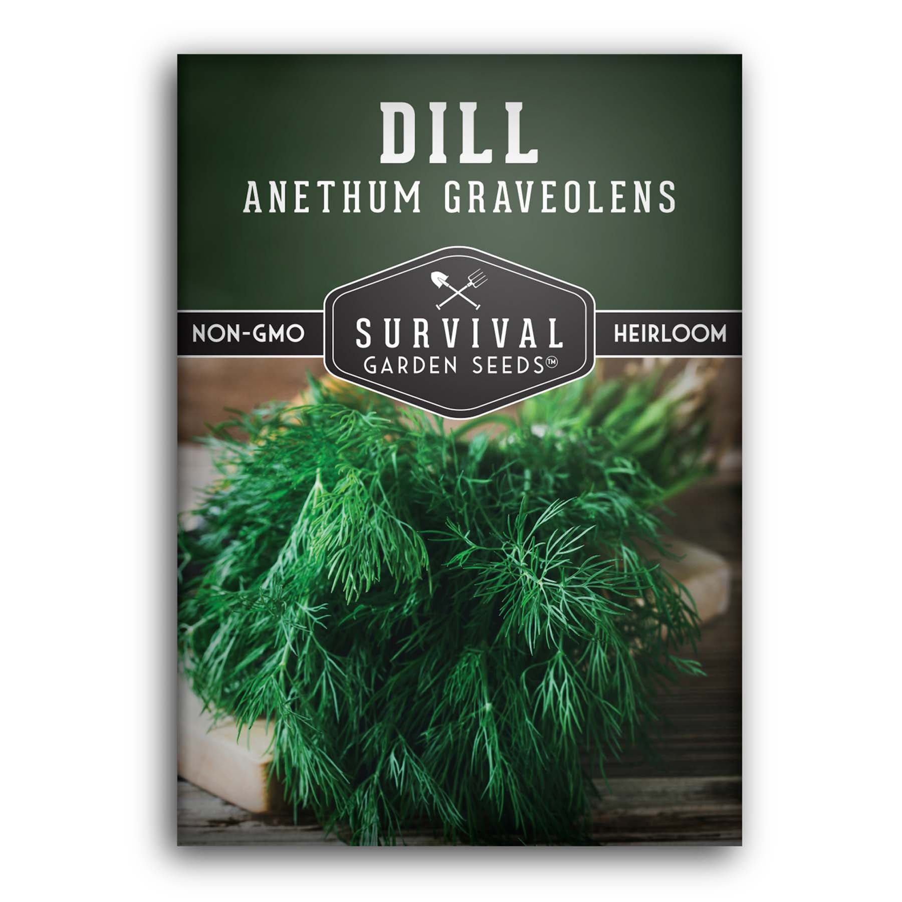 Organic Dill Seeds for Planting - Non-GMO, Heirloom Herb Seeds for Home Garden, Cooking & Pickling - Perfect for Indoor & Outdoor Herb Gardens, DIY Spice Blends & Culinary Use