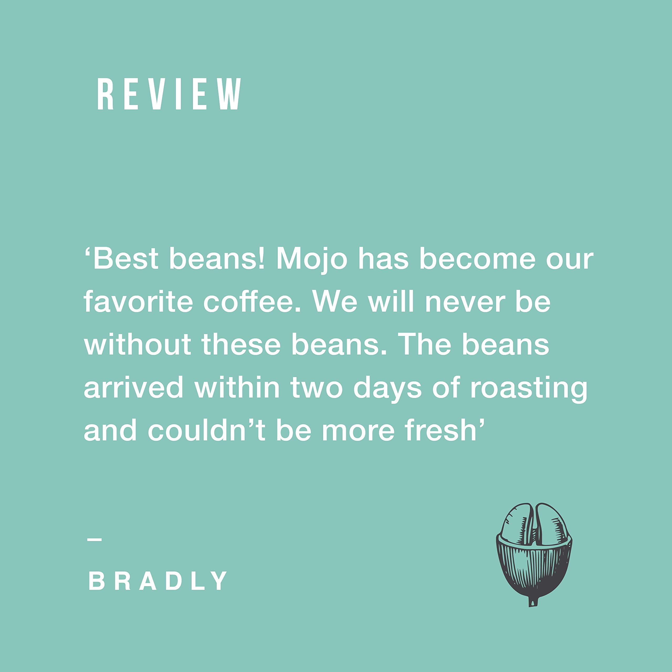 Dr Mojo Coffee Roasters Medium Roast Ground Coffee - 12oz Injection Blend | Perfect for Home Brewing & Office Use