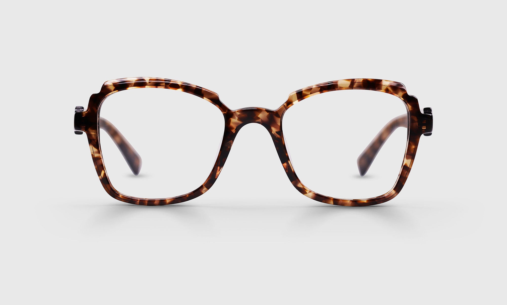 19 - Crystal Tortoise Front and Temples