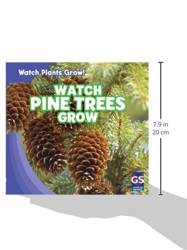 Watch Pine Trees Grow - Real Time Plant Growth Observation Kit for Kids & Adults | Perfect for Science Projects, Classroom Learning & Nature Enthusiasts